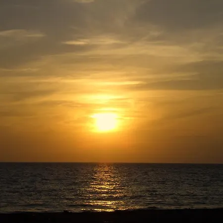 Appartamenti A Pochi Metri Dal Mare Vigoresort Resort *